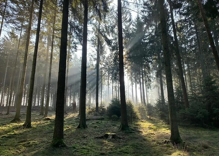 Vakantiehuis Ard'envie