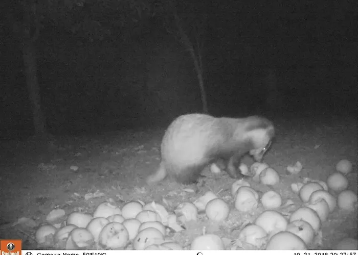 Holiday home Ard'envie